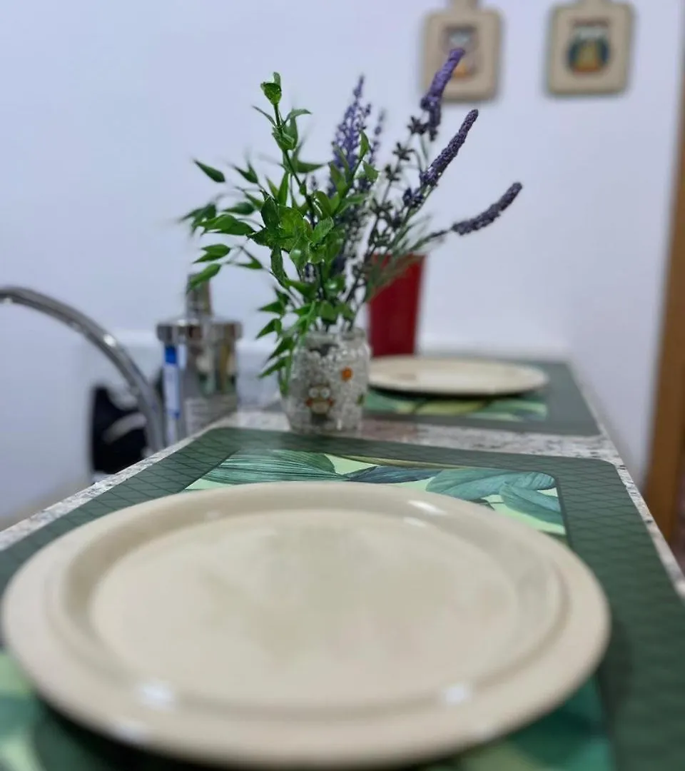 Apartamento Prox. Aeroporto De Gru-Sp Guarulhos Apartment