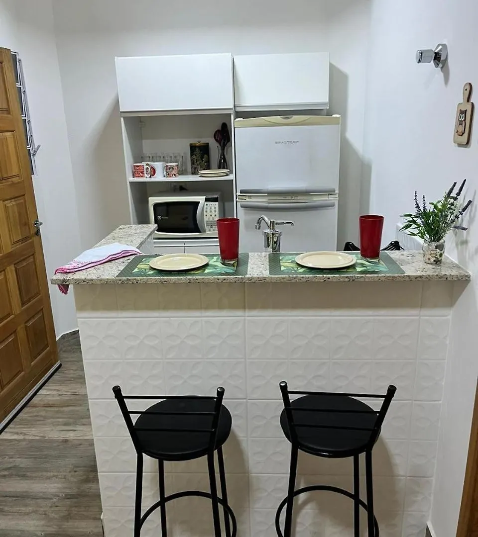 Apartamento Prox. Aeroporto De Gru-Sp Guarulhos